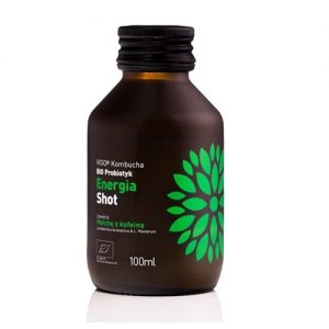 Shot Kombucha energy bio fara gluten, Vigo 100ml